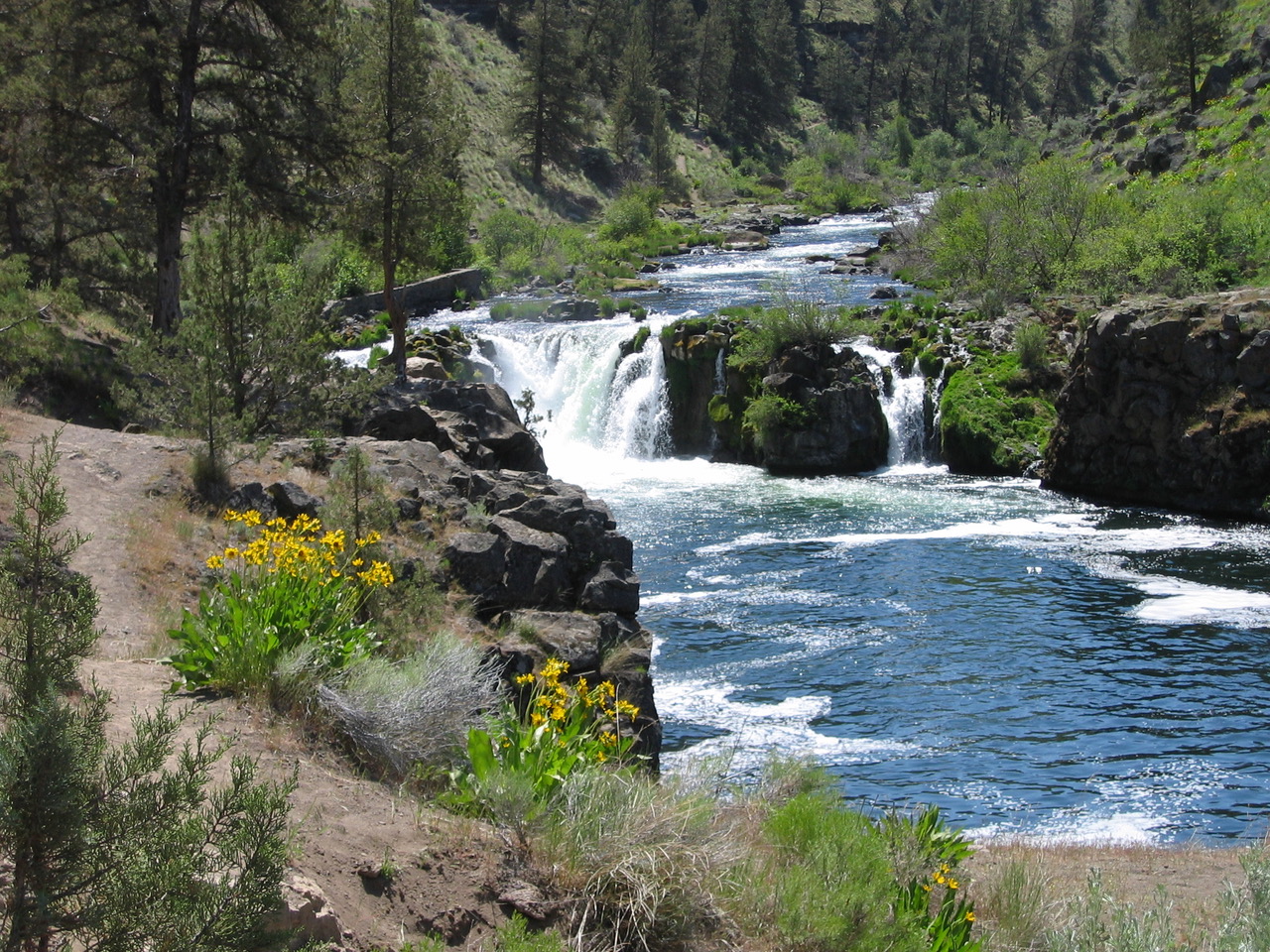 Steelhead Falls viewed towards the south (upriver) from the east bank of the Deschutes River......May 14, 2004.